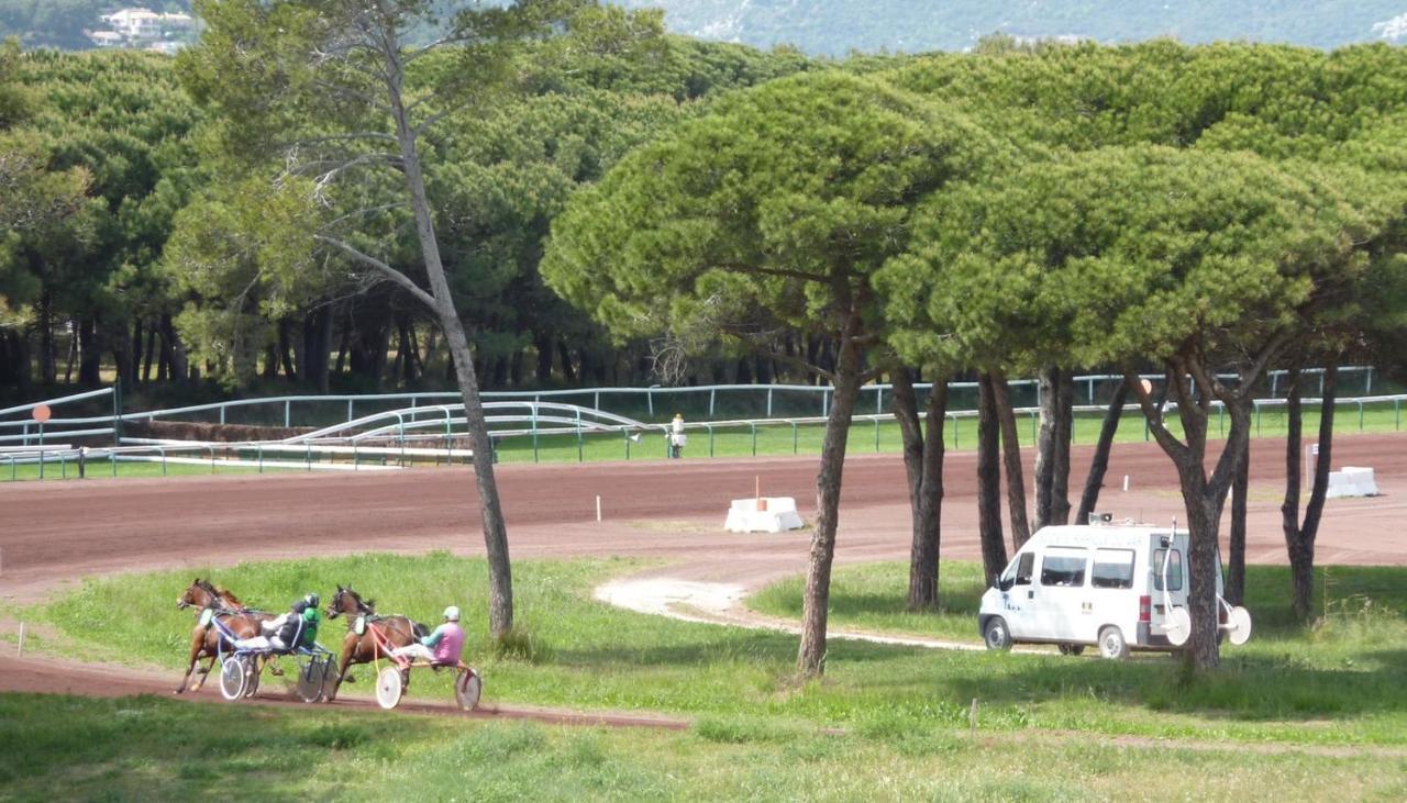 Studio Residence Bona, Vue Hippodrome Et Mer, Clim Hyeres Exterior photo