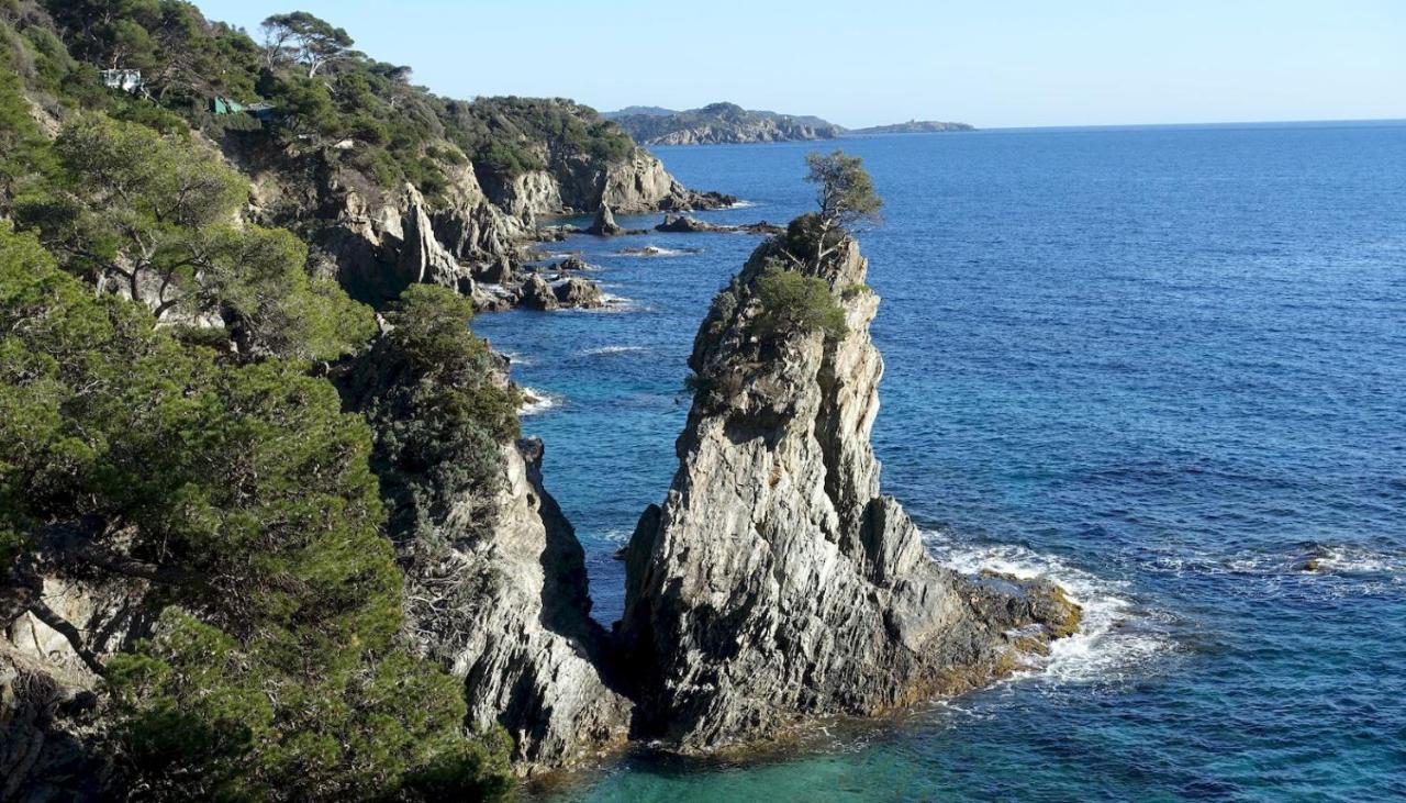 Studio Residence Bona, Vue Hippodrome Et Mer, Clim Hyeres Exterior photo