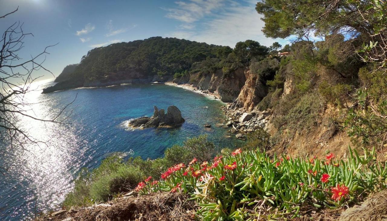 Studio Residence Bona, Vue Hippodrome Et Mer, Clim Hyeres Exterior photo